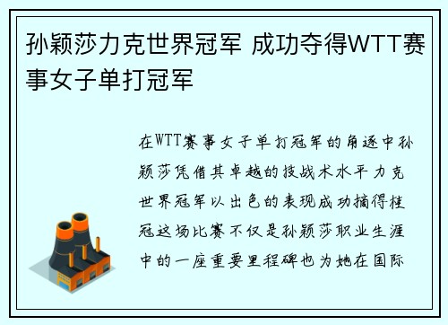 孙颖莎力克世界冠军 成功夺得WTT赛事女子单打冠军